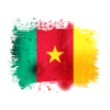 pngtree-flag-of-cameroon-png-image_8794103(1)